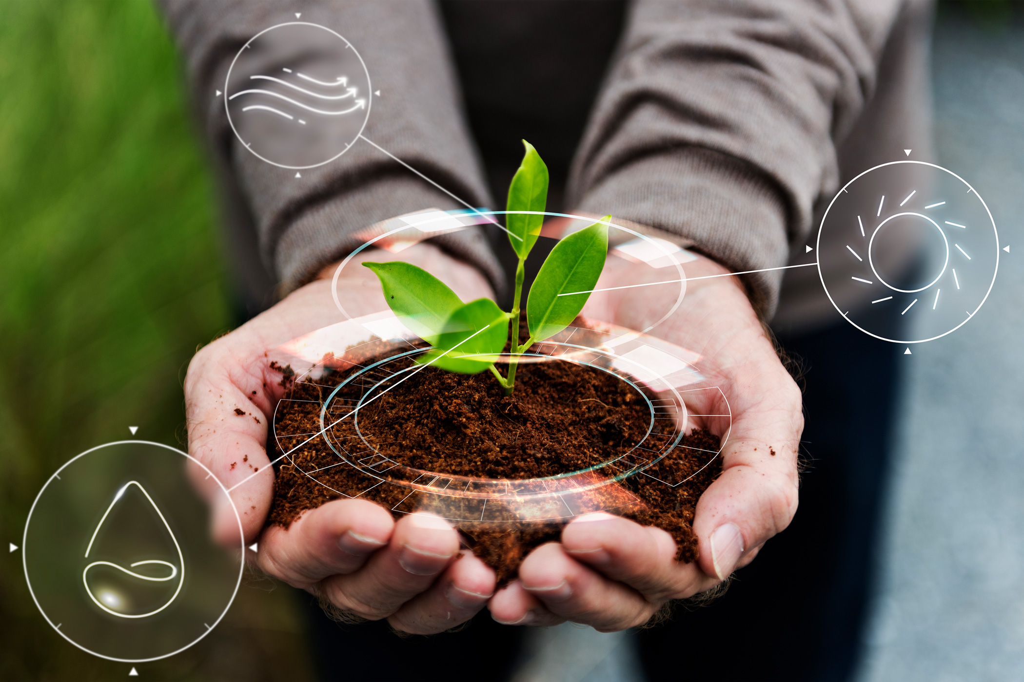 Bioeconomia amazônica: como valorizar a floresta e gerar oportunidades